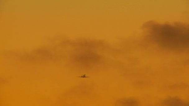 Large Plane Taking Orange Sky — Stock Video