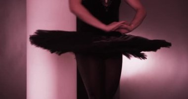 Arjantinli balerin parmak uçlarında dönüyor