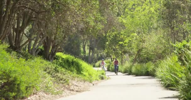 Aktives Älteres Paar Fährt Fahrrad Auf Trail — Stockvideo