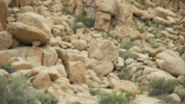 Великі Купи Валунів Скель Біля Підніжжя Пустелі Зеленого Екрану Або — стокове відео