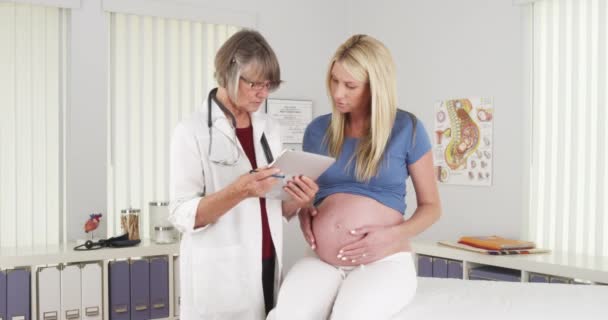 Těhotná Žena Mluví Lékařem Kanceláři — Stock video