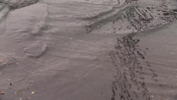 Dešťová Voda Tekoucí Přes Asfalt — Stock video