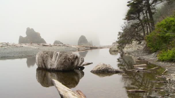 Vue Sur Plage Ruby — Video