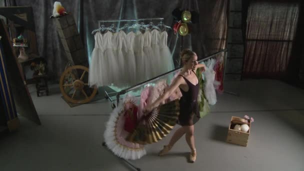 Balet Belakang Panggung Studio Dance — Stok Video