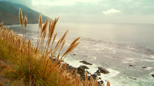 阴暗天气下岩石海岸的悬崖顶部景观 — 图库视频影像