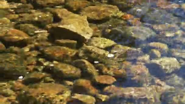 Scénický Pohled Řeku Tuolumne — Stock video
