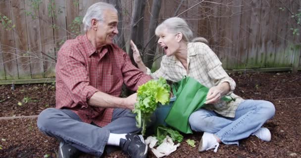 Yaşlı Çift Oturmuş Bahçede Mahsul Yetiştirmekten Bahsediyorlar — Stok video