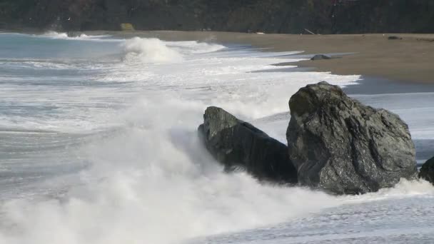 加利福尼亚海岸白天 — 图库视频影像