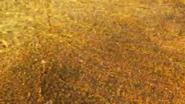 Tuolumne Nehri Manzarası