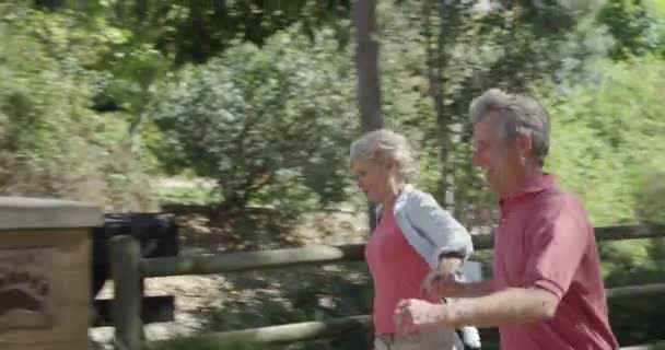Feliz Pareja Ancianos Corriendo Hacia Puente — Vídeos de Stock