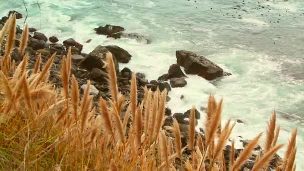 阴暗天气下岩石海岸的悬崖顶部景观 — 图库视频影像