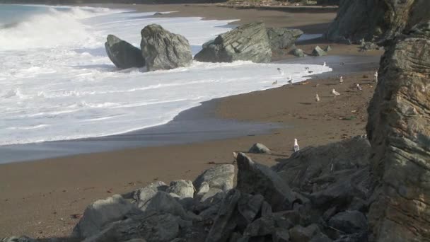 Wybrzeże Kalifornii Dzień — Wideo stockowe