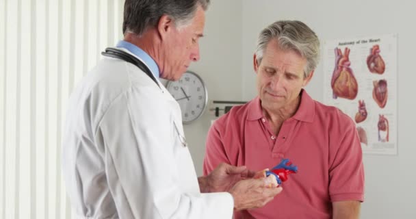 Médico Sênior Explicando Coração Para Paciente Idoso — Vídeo de Stock
