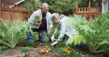 Bahçe işlerinde kıdemli bir çift.