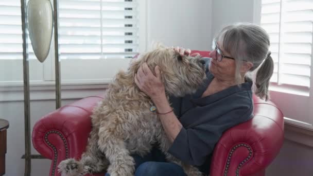 Glad Äldre Kvinna Klappa Och Leka Med Sin Hund Hemma — Stockvideo
