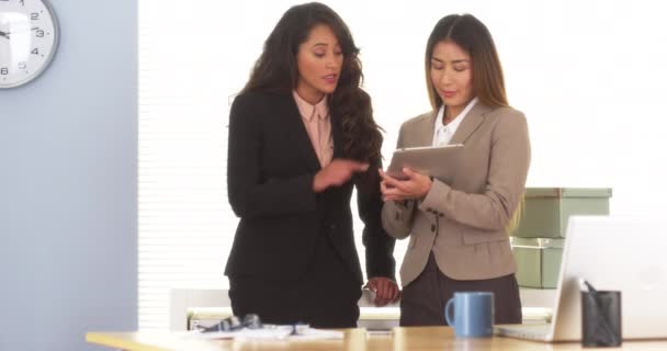 オフィスで働く二人の多民族の実業家 — ストック動画