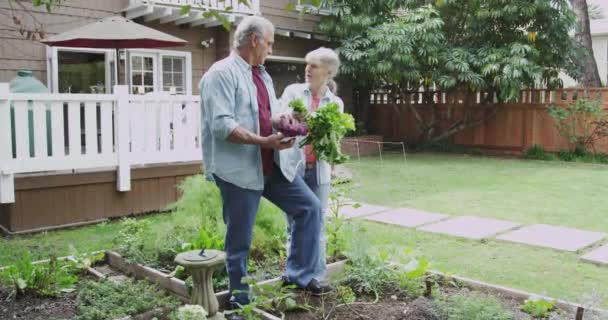 Mature Couple Jardinage Dans Cour — Video