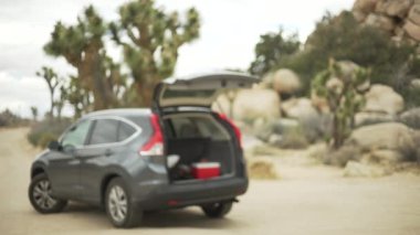 Çölde kamp yapmak için yeşil ekran veya krom anahtar için bagajı açık bir SUV. Birleşiklik veya anahtarlama için odak dışı veya odaklanmış çekim.