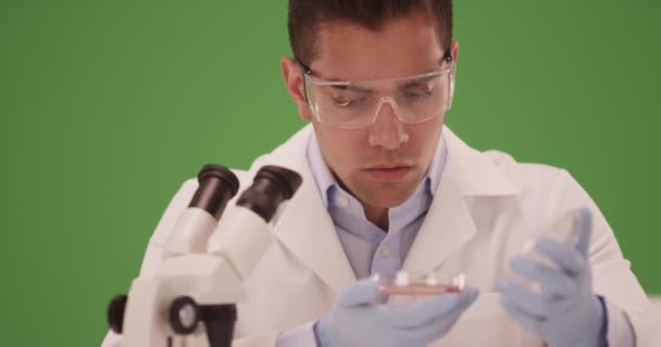 Latynoski Naukowiec Laboratorium Badający Płytkę Petriego Zielonym Ekranie Zielonym Ekranie — Wideo stockowe