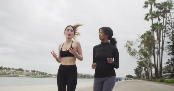 Twee Beste Vrienden Joggen — Stockvideo