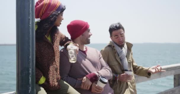Tre Giovani Amici Alla Moda Che Godono Spiaggia Rilassati Molo — Video Stock
