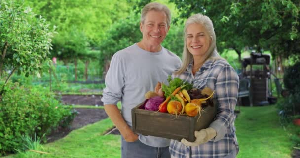 幸せな古い白い結婚式のカップルは誇らしげに彼らの庭で成長する作物を表示します 裏庭の古い男性と女性の庭師は自家栽培の野菜を保持しています — ストック動画