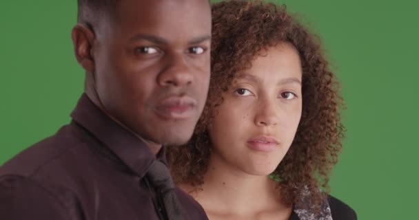 2人のアフリカ系アメリカ人の専門家が緑の画面に肖像画をポーズ 緑の画面でキーまたは構成されます — ストック動画