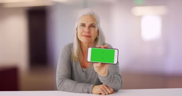 Lovely Senior Woman Showing Handheld Device Camera Portrait Elderly Woman — Stock Video