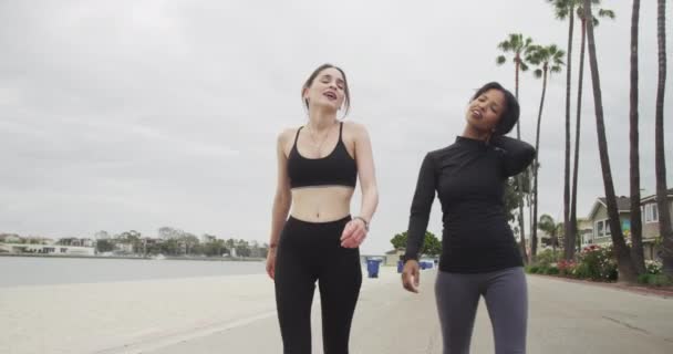 Mujeres Atractivas Caminando Juntas Aire Libre — Vídeos de Stock
