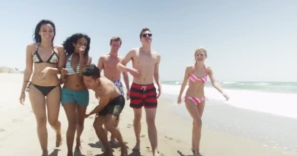 Gangue Seis Jovens Amigos Caminhando Longo Praia — Vídeo de Stock