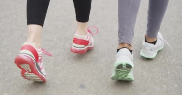 Mujeres Corredoras Corriendo Juntas Aire Libre — Vídeos de Stock
