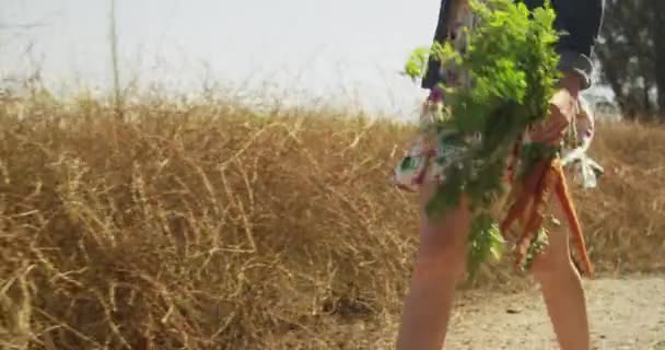 Jolie Fille Campagne Marchant Avec Des Légumes Fraîchement Cueillis — Video
