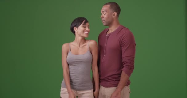 Ein Afroamerikanisches Paar Umarmt Sich Auf Blauem Hintergrund Auf Grünem — Stockvideo
