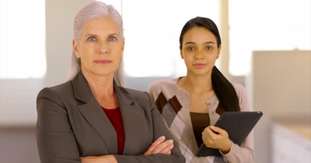 Une Dirigeante Entreprise Secrétaire Posent Pour Portrait Travail Deux Femmes — Video