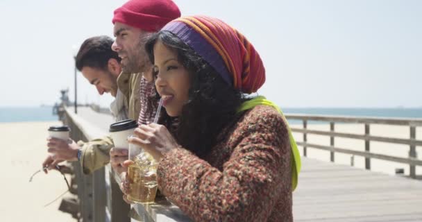 Drie Hippe Hippe Vriendjes Ontspannen Pier — Stockvideo