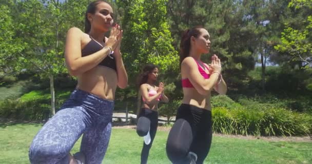 Mujeres Jóvenes Haciendo Yoga Aire Libre — Vídeos de Stock