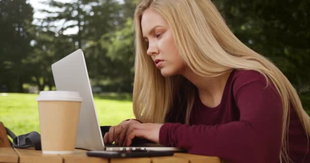 Dizüstü Bilgisayar Üzerinde Çalışan Bir Park Rahat Genç Kadın — Stok video