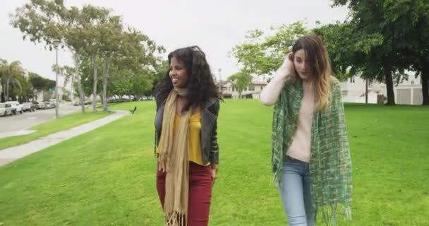 公園を歩きながら話している魅力的な女性 — ストック動画