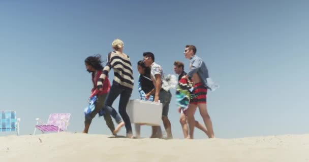Mladá Skupina Mezirasových Přátel Piknik Sedí Pláži — Stock video