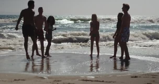 Silhueta Grupo Amigos Étnicos Multi Chutando Bola Praia — Vídeo de Stock