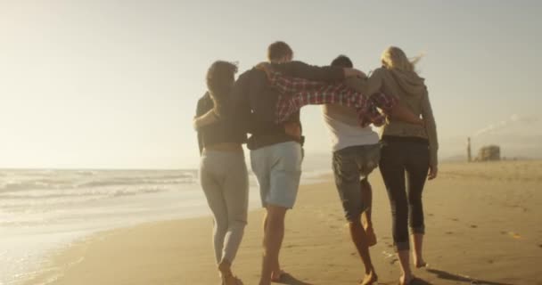 Amici Che Camminano Sulla Spiaggia Insieme — Video Stock