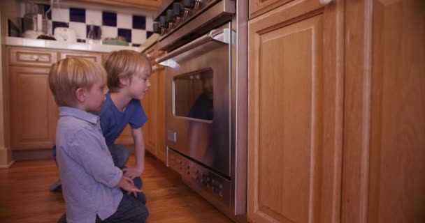 Due Giovane Fratello Guardando Biscotto Cuocere Forno — Video Stock