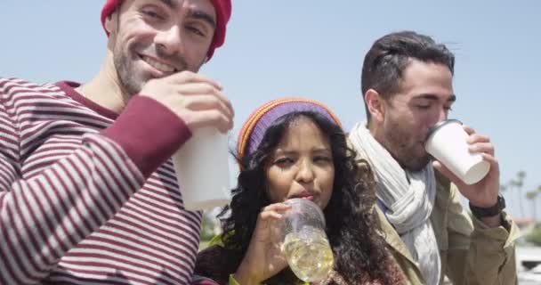 Giovani Amici Hipster Multietnici Che Bevono Spiaggia Nella Giornata Sole — Video Stock