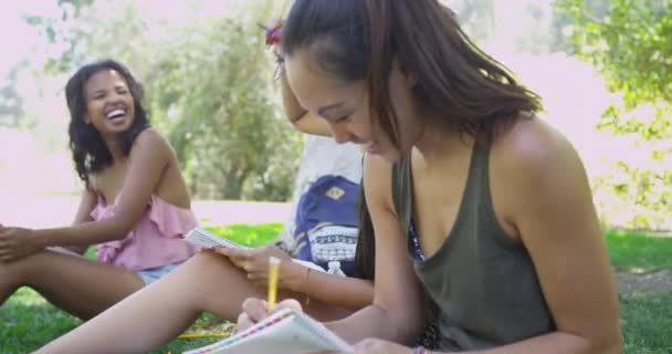 Vrouwen Die Samen Huiswerk Maken Buiten — Stockvideo