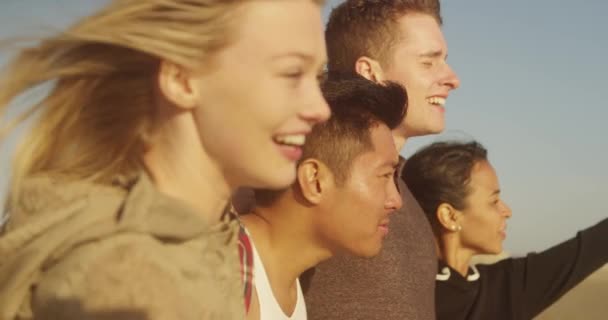 Grupa Przyjaciół Uśmiechnięta Patrząca Stronę Oceanu — Wideo stockowe
