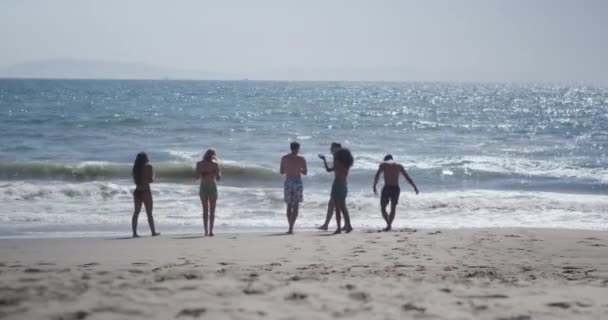Skupina Mladých Mezirasových Přátel Procházky Pláži Pobřeží — Stock video