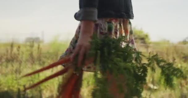 Close Mulher Bonita Andando Com Legumes — Vídeo de Stock