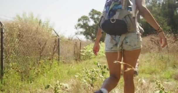 メキシコ人のカップルが田舎をハイキング — ストック動画