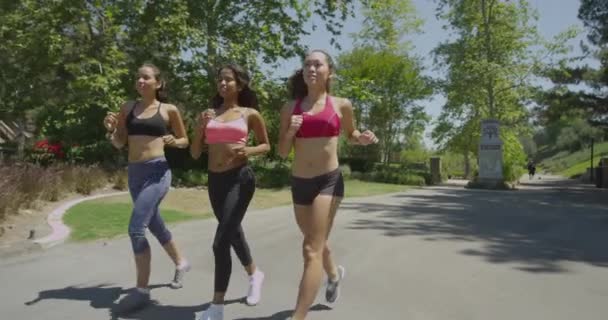 Mujeres Corriendo Parque — Vídeos de Stock