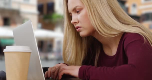 Çevrimiçi Bir Kafede Beyaz Bir Kadınla Sohbet Ediyor Güzel Sarışın — Stok video